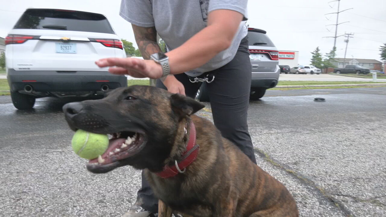 New Clarksville K9 officer (2).jpeg